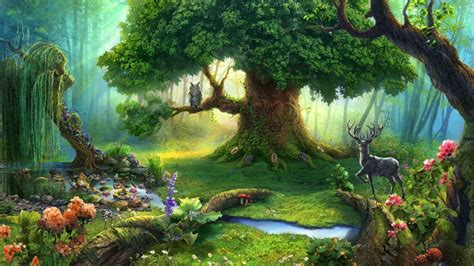 Enchanted magical woods